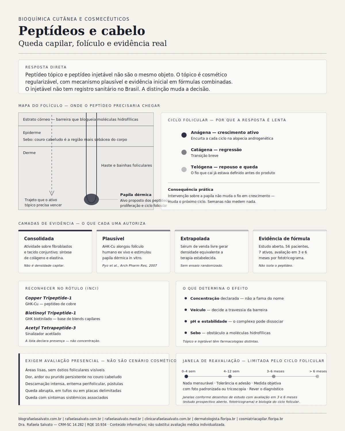 Infográfico editorial — Peptídeos e cabelo: queda capilar, folículo e evidência real
