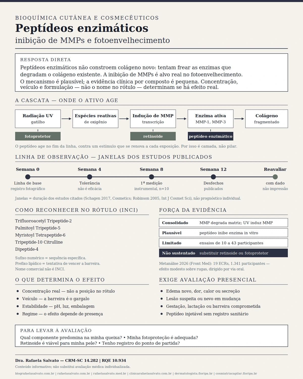 Infográfico editorial — Peptídeos enzimáticos: inibição de MMPs e fotoenvelhecimento