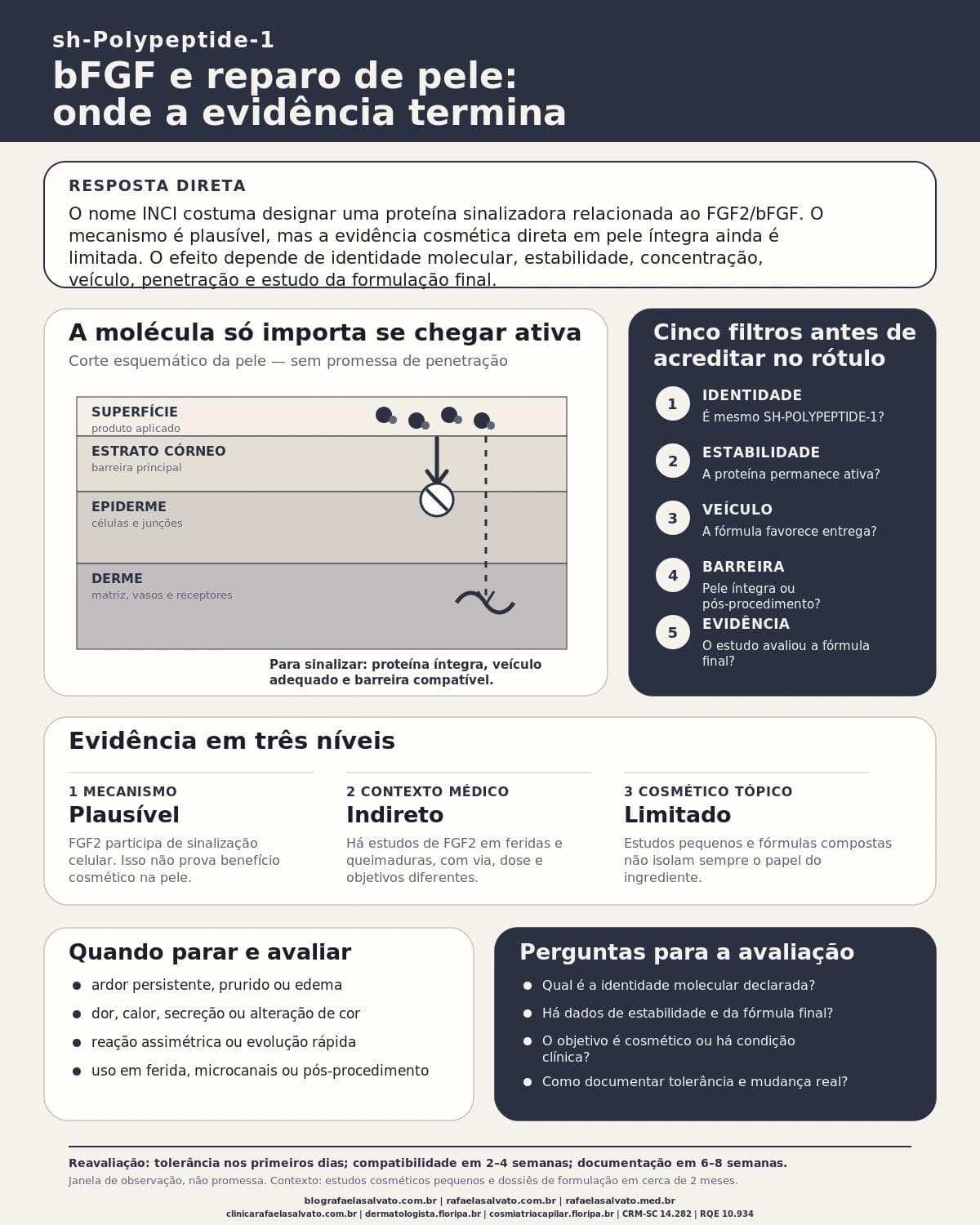 Infográfico editorial — sh-Polypeptide-1: bFGF e reparo de pele: onde a evidência termina