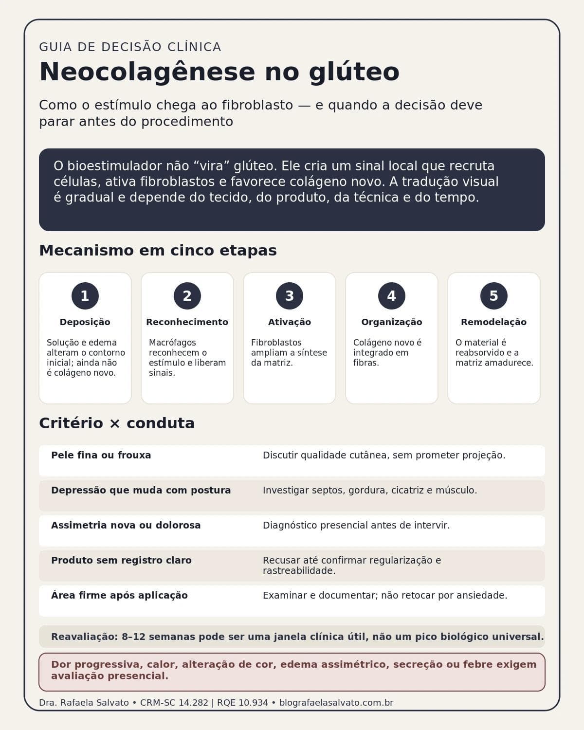 Infográfico editorial — Neocolagênese no glúteo: como a resposta fibroblástica constrói o resultado do bioestimulador