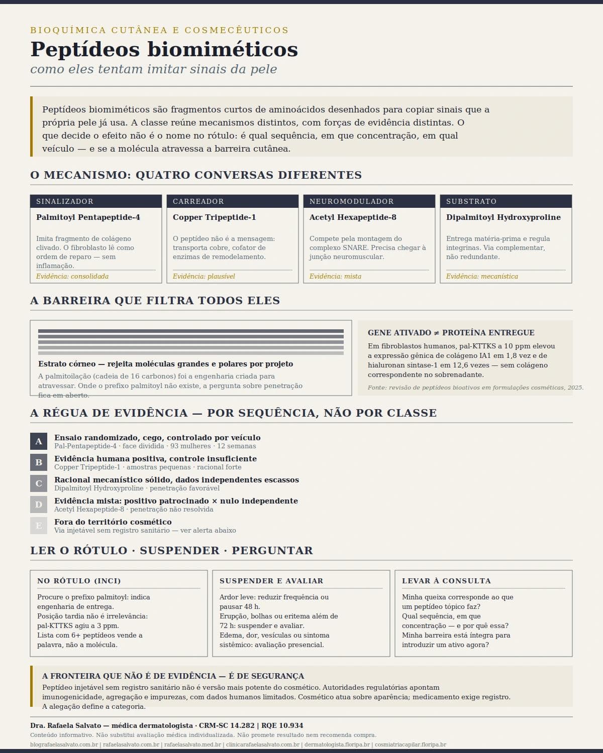Infográfico editorial — Peptídeos biomiméticos: como eles tentam imitar sinais da pele
