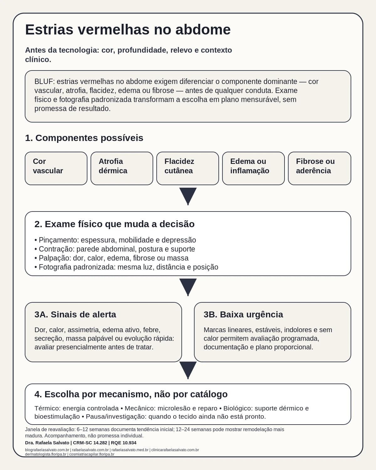 Infográfico editorial — Estrias vermelhas no abdome: como avaliar cor, profundidade e expectativa de melhora