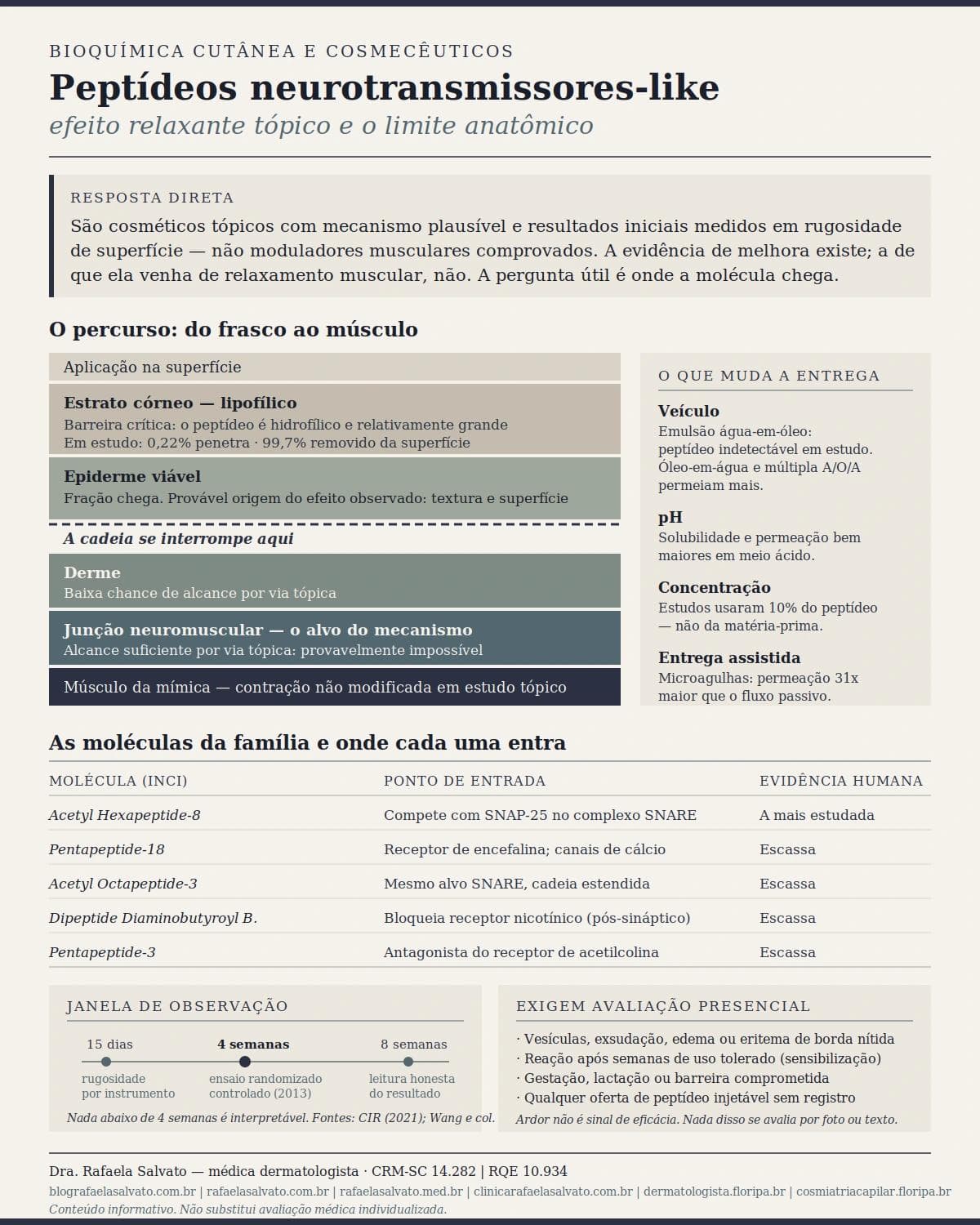 Infográfico editorial — Peptídeos neurotransmissores-like: efeito relaxante tópico e limite anatômico