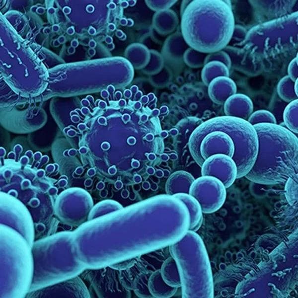Avaliação dermatológica da barreira cutânea e microbioma em pele sensível em Florianópolis, com foco em rosácea e acne adulta.